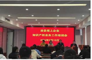 隆盛政策交流活动现场